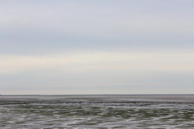 Fra Pellworm kan man skimte den lille Hallig Norderoog, der i dag kun har en pælebygning til skibbrudne og vildfarne vadehavsvandrere. Tilflugtstårnen kan nu næppe ses i den opløsning billeder har.
