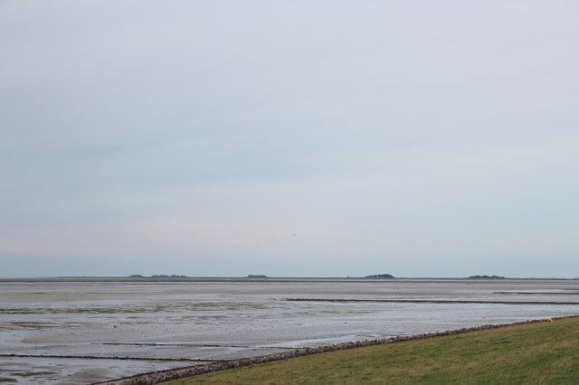 Fra Pellworm ses Hallig Hooge i baggrunden med værfter og omgivende græsland. Billedet er fra 2013.