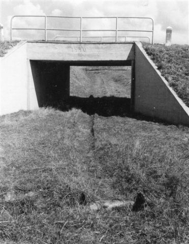 600 mm banen til graven førte tidligere gennem denne viadukt fra 1940, men i 1966 benyttedes en anden grav, hvortil sporet krydsede landevejen i niveau.