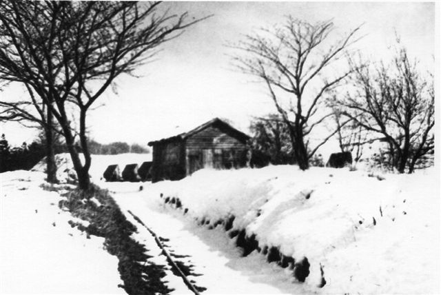 Et foto fra 1961. Sporet i forgrunden fører til Molbograven. Billedet er lånt på Viby Bibliotek.