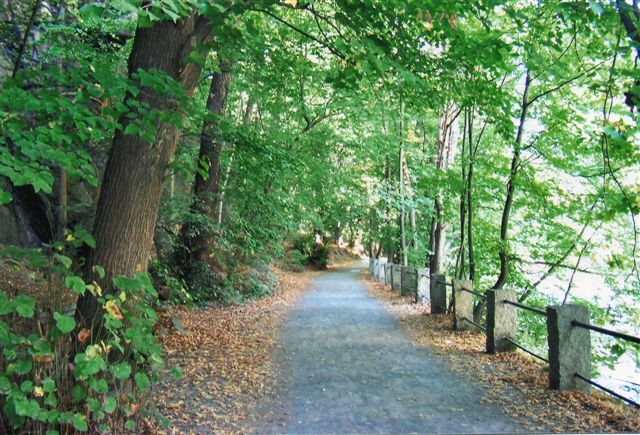 Stien Langs Bode gennem Bodeslugten ved Balnkenburg i Harzen.