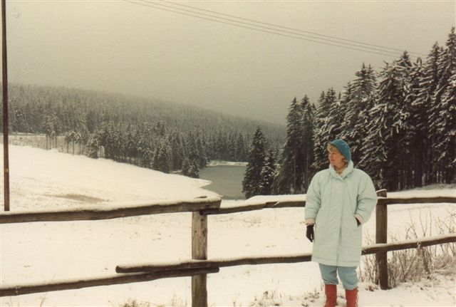 Fra vor gåtur mellem Zum Auerhahn og Hahnenklee 1989.