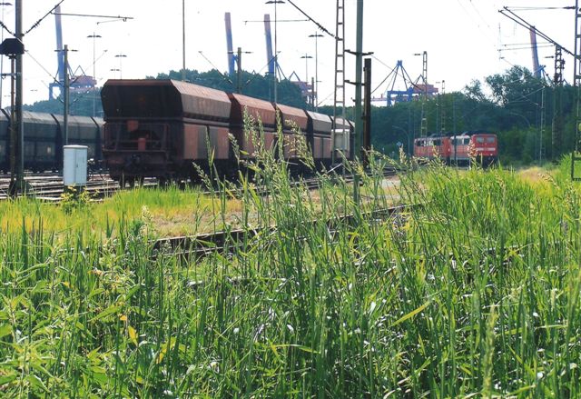 Først i 2009 tænkte jeg på at fotografere DB og malmtogene, og det blev kun til dette ene foto af to DB-lokomotivet holdende helt ude ved Autohof Waltershof, der er placeret lige under motorvejsbroen syd for Elbtunnelen. 2009