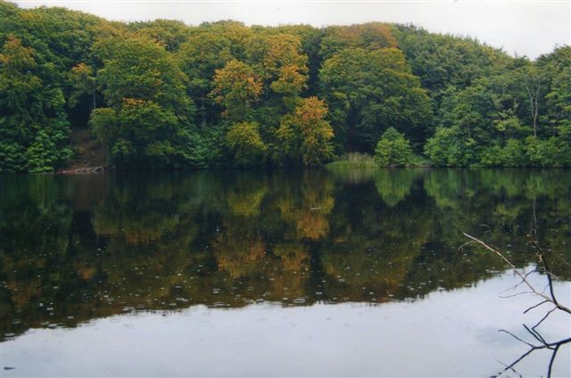 Herthasøen, hvor der ofredes unge piger. Hethaborgen lå bag søen mellem træerne.